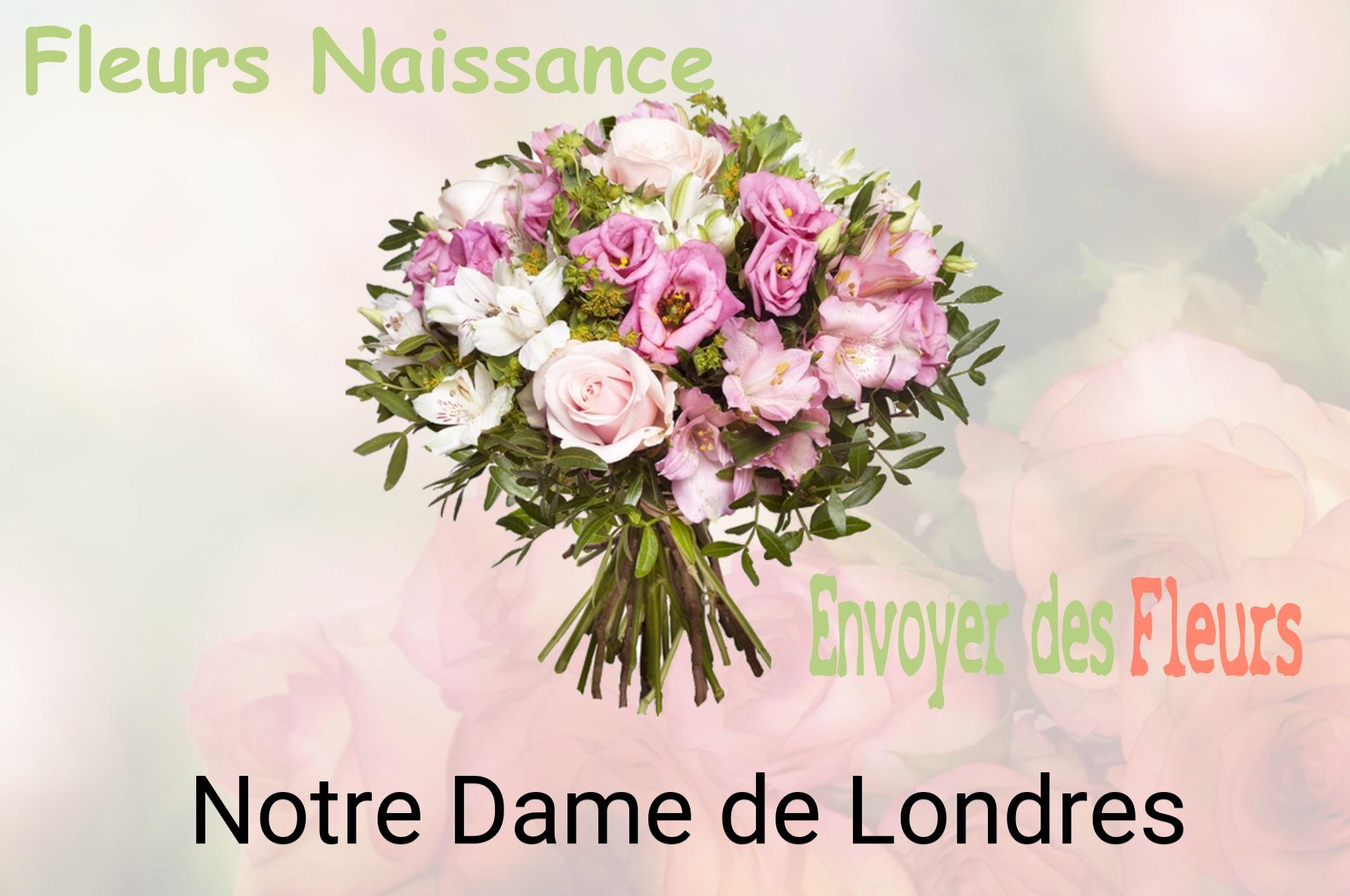 Bouquet de fleurs de naissance livré à Notre-Dame-de-Londres
